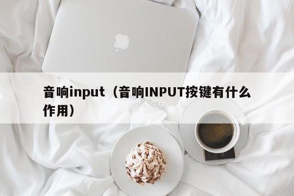 音响input(音响INPUT按键有什么作用)
