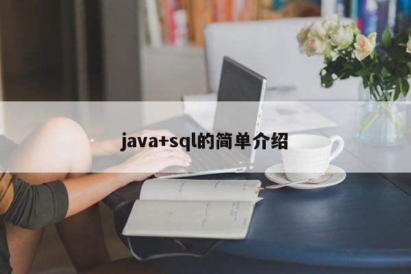 java+sql的简单介绍