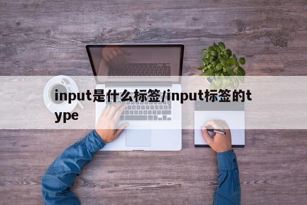 input是什么标签/input标签的type