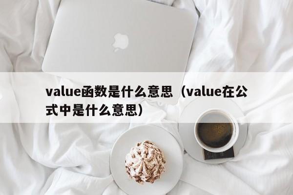 value函数是什么意思(value在公式中是什么意思)
