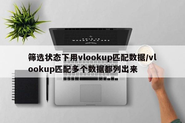 筛选状态下用vlookup匹配数据/vlookup匹配多个数据都列出来