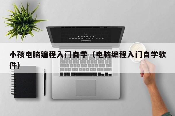 小孩电脑编程入门自学(电脑编程入门自学软件)