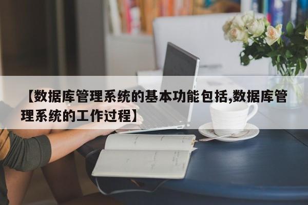 【数据库管理系统的基本功能包括,数据库管理系统的工作过程】