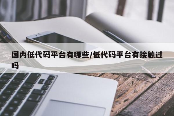 国内低代码平台有哪些/低代码平台有接触过吗