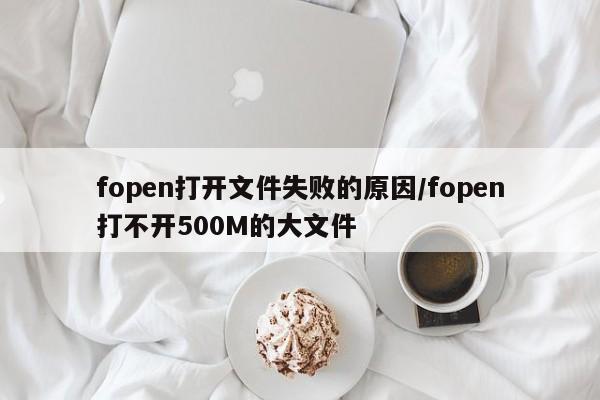 fopen打开文件失败的原因/fopen打不开500M的大文件
