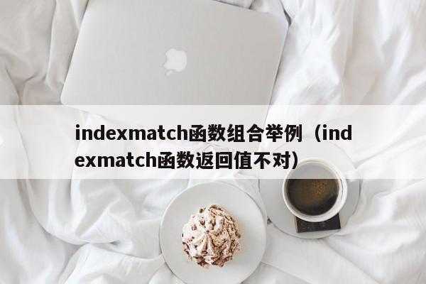 indexmatch函数组合举例(indexmatch函数返回值不对)