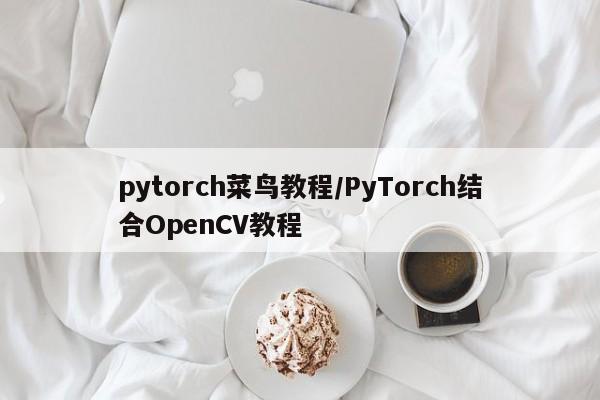 pytorch菜鸟教程/PyTorch结合OpenCV教程