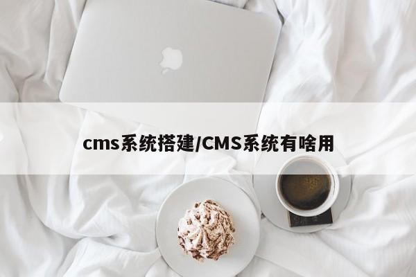 cms系统搭建/CMS系统有啥用