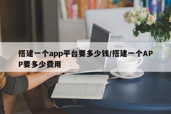 搭建一个app平台要多少钱/搭建一个APP要多少费用
