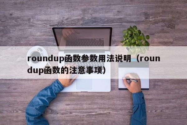 roundup函数参数用法说明(roundup函数的注意事项)