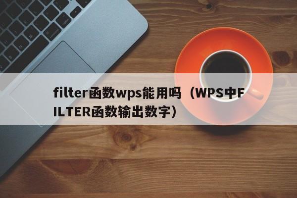 filter函数wps能用吗(WPS中FILTER函数输出数字)