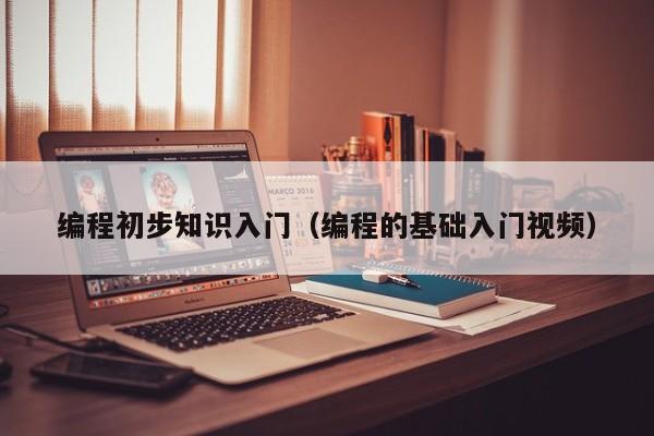 编程初步知识入门(编程的基础入门视频)