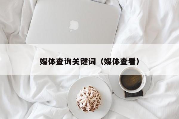 媒体查询关键词(媒体查看)