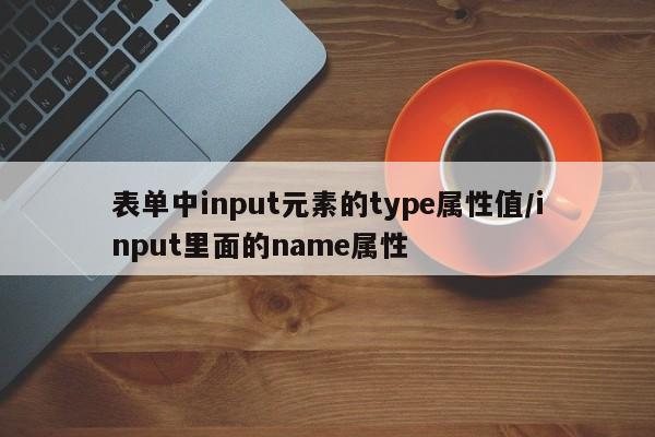 表单中input元素的type属性值/input里面的name属性