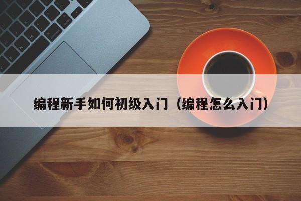 编程新手如何初级入门(编程怎么入门)