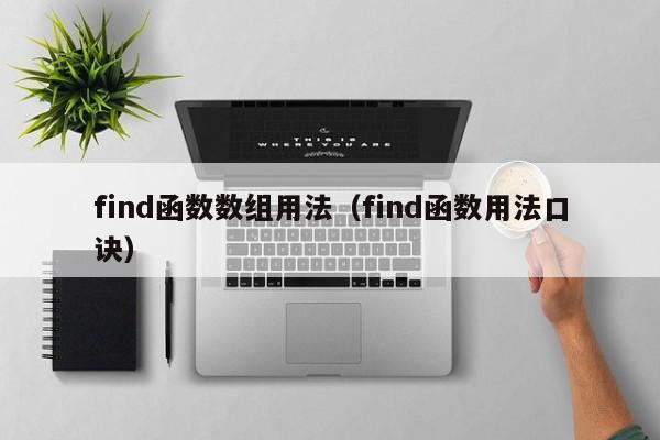 find函数数组用法(find函数用法口诀)