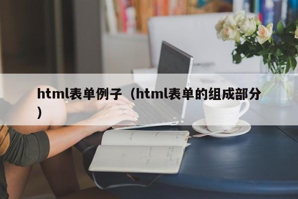 html表单例子(html表单的组成部分)