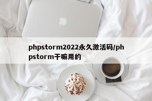 phpstorm2022永久激活码/phpstorm干嘛用的